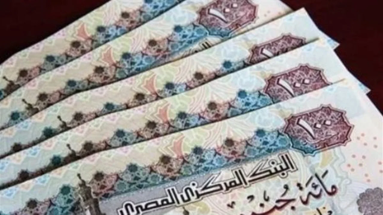 صرف الدعم قريبًا.. بدء توزيع تكافل وكرامة في جميع المحافظات